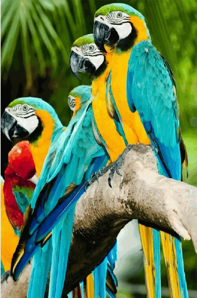 FEED MIND FEED BIRD - 1 